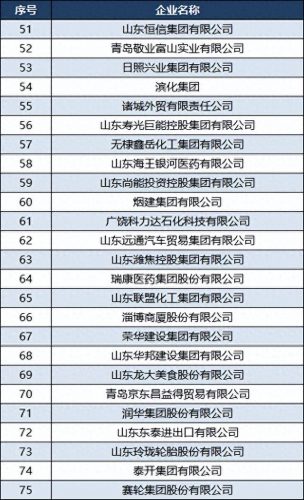中国石化行业民企排名前十(石化行业前十排名)插图4