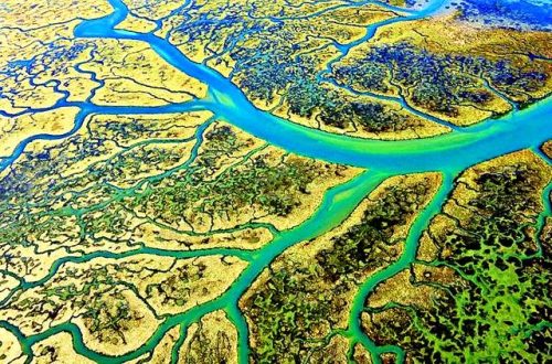 中国各个河流排名前十(中国三大河流是哪三大河)插图1