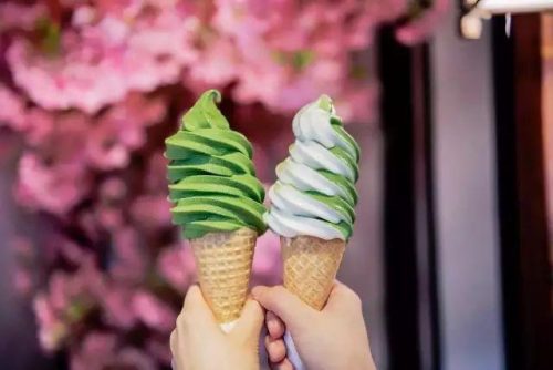 广东冰淇淋口味排名前十(国内最好吃的雪糕排名)插图22